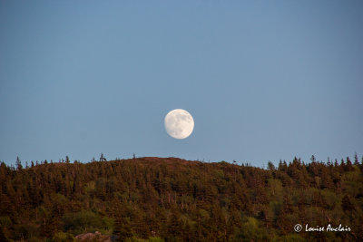 _MG_7850.jpg