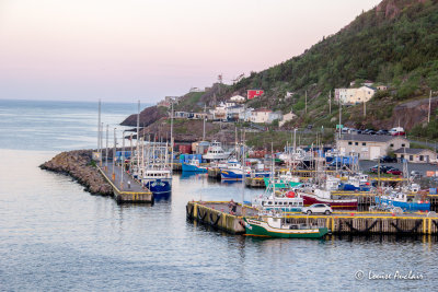La portion sud du port est utilise par les bateaux de pche