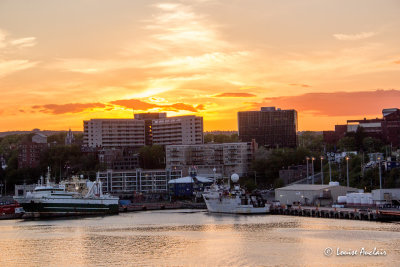 _MG_7860.jpg