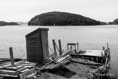 Little Bay Islands