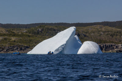 _MG_8065.jpg