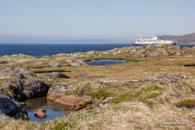 _MG_8177.jpg