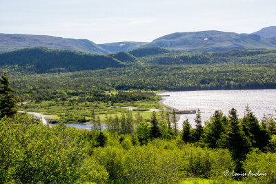 _MG_8238.jpg