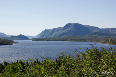 _MG_8239.jpg