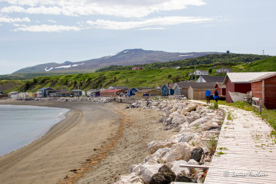 _MG_8253.jpg