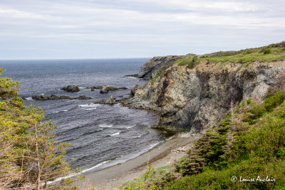 _MG_8281.jpg