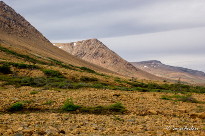 _MG_8360.jpg