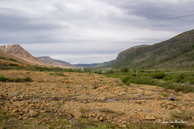 _MG_8361.jpg
