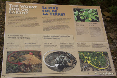 _MG_8366.jpg