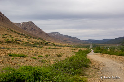 _MG_8369.jpg