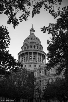 Texas State Capitol Framed by Trees