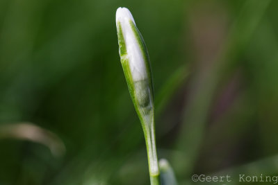 _5D33689.jpg