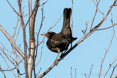 IMG_4717.JPG
