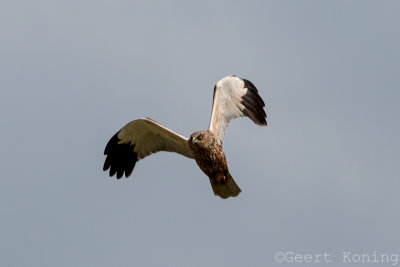 IMG_6798.JPG