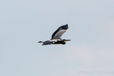 IMG_1356.JPG