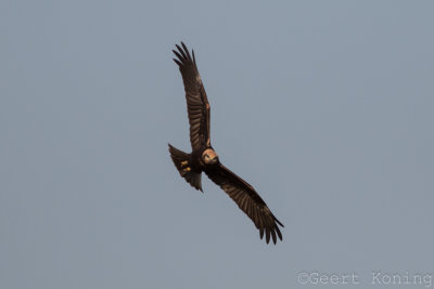 IMG_1917.JPG