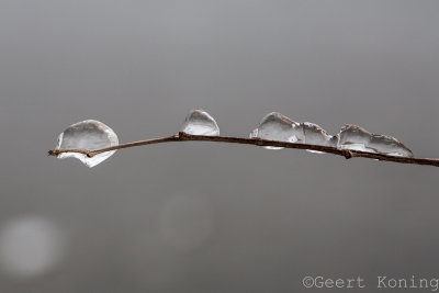 _5D38607.JPG