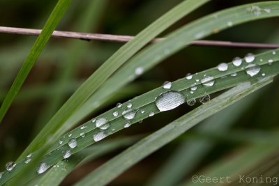 _5D36480.JPG