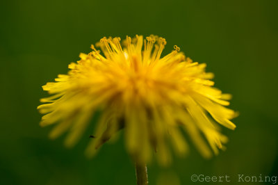 _5D33962.JPG