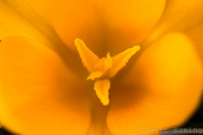 _5D32475.JPG