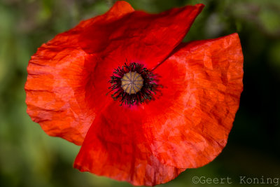 _5D34359.JPG