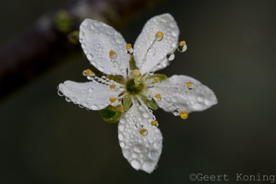 _5D33811.JPG
