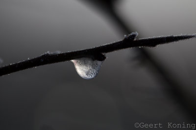 _5D31534.JPG