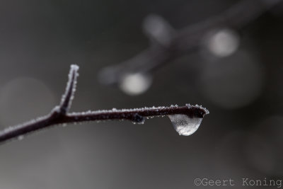 _5D31731.JPG