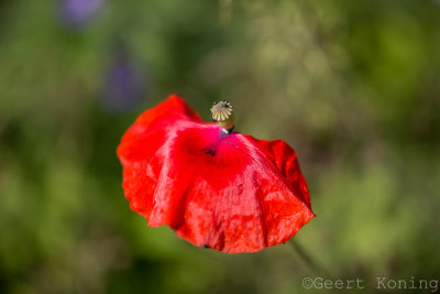_MG_5859.jpg
