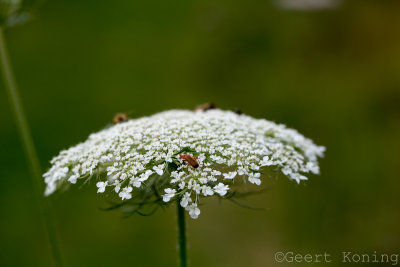 _MG_6344.JPG
