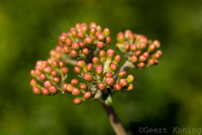 _MG_4791.jpg