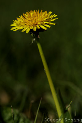 _5D34091.jpg