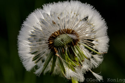 _5D34227.jpg