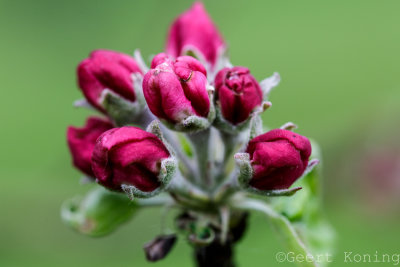 _5D34379.jpg
