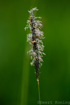 _5D34969.jpg