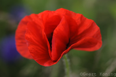 _MG_6342.jpg