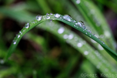 _5D36667.jpg