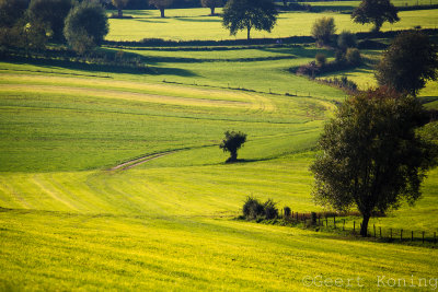 Limburg