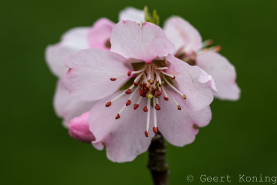 _5D37523-2.jpg