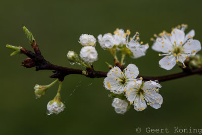 _5D37689.jpg
