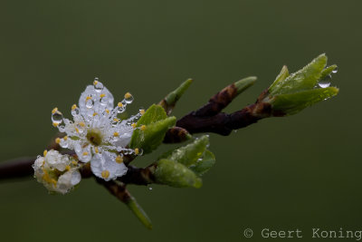 _5D37701.jpg