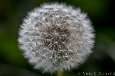 _5D38232.jpg