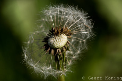 _5D38256.jpg