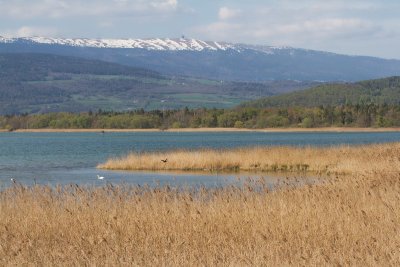 Paysages et nature 3