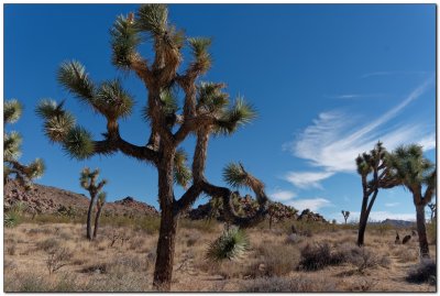 Desert Southwest - Fall 2020