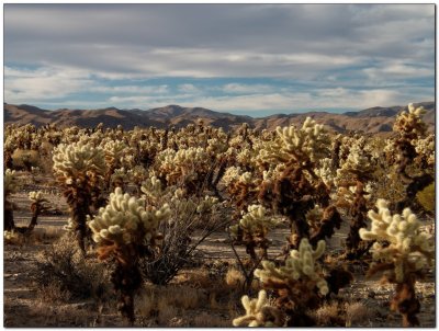 Desert Southwest - Fall 2020