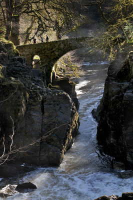 The Hermitage, Dunkeld - DWB_3042.jpg