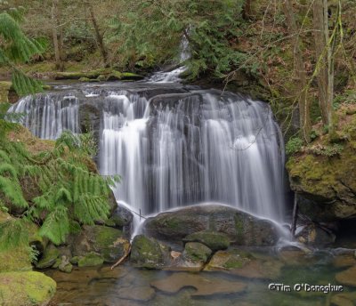 Whatcom Falls, Bellingham, WA