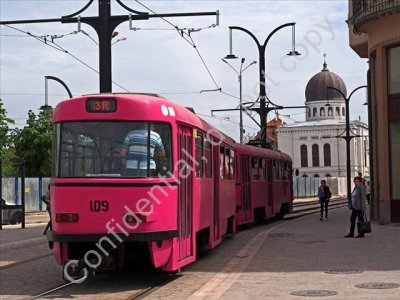 P4180283_pinktram2_8.jpg