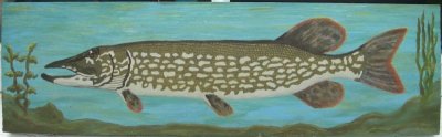 Chain Pickerel